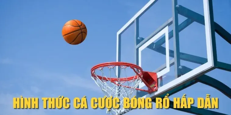 Tìm Hiểu Cá Cược Bóng Rổ S666: Hành Trình Giải Trí Kịch Tính