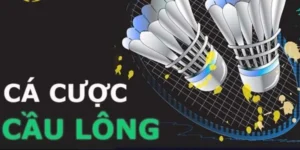 Hướng Dẫn Chơi Cá Cược Cầu Lông Tại S666: Chi Tiết Từ A-Z