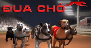 Hướng Dẫn Cách Chơi Game Nhanh Đua Chó Tại S666 Hiệu Quả