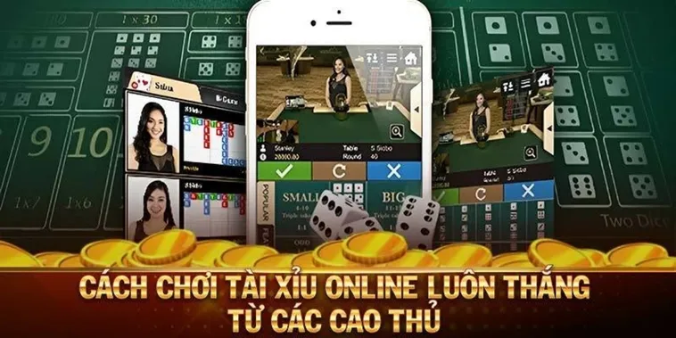 Hướng Dẫn Chơi Tài Xỉu Nhà Cái S666 Chi Tiết Cho Người Mới